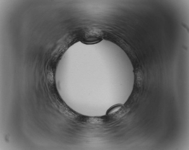 X0000103450617200809261819