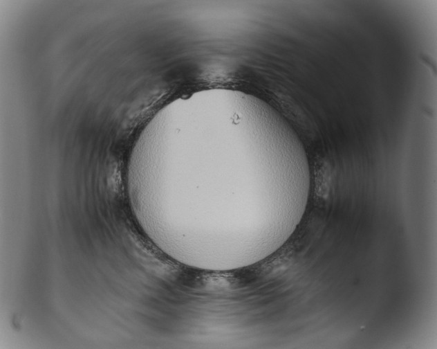 X0000103450618200809261819