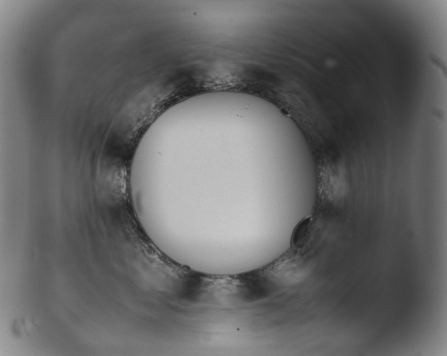 X0000103450621200809261818