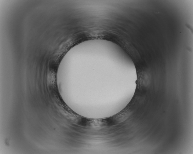 X0000103450623200809261818