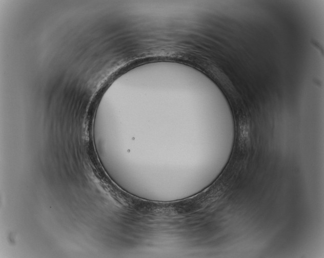 X0000103450628200809261818