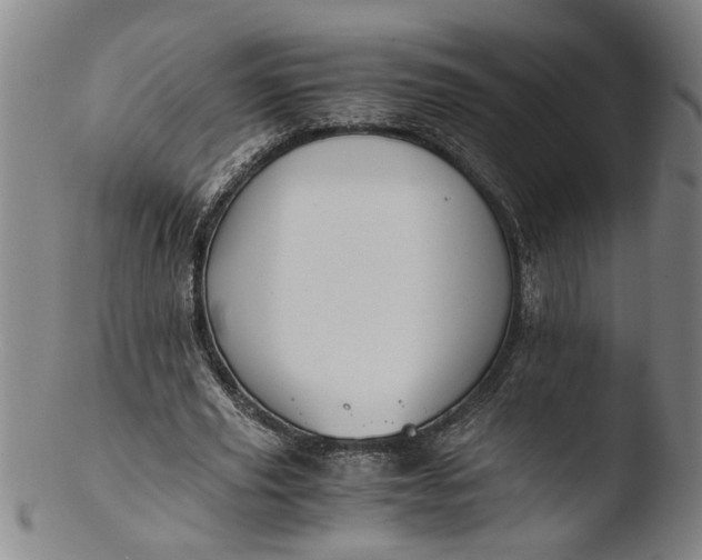 X0000103450629200809261818