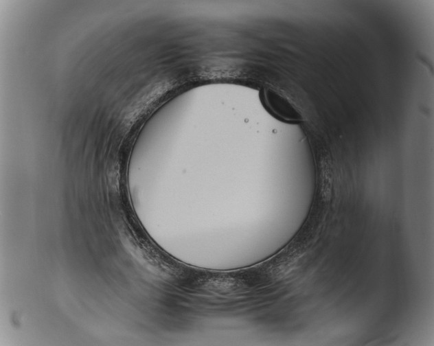 X0000103450631200809261818