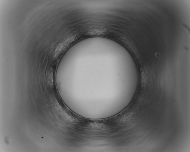 X0000103450633200809261818