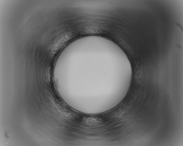 X0000103450635200809261818