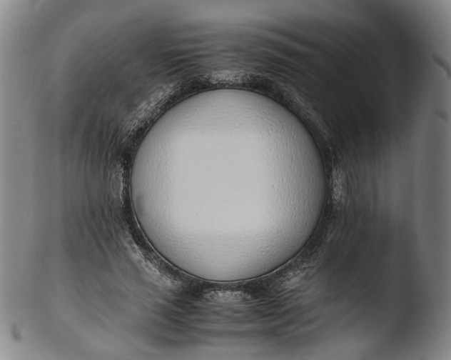 X0000103450637200809261818