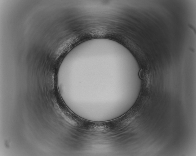 X0000103450638200809261818