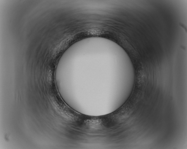 X0000103450639200809261818