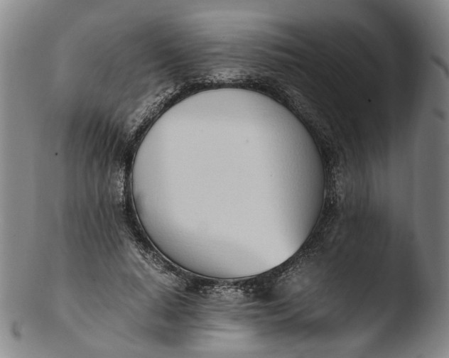 X0000103450640200809261818