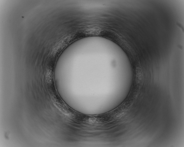 X0000103450641200809261818