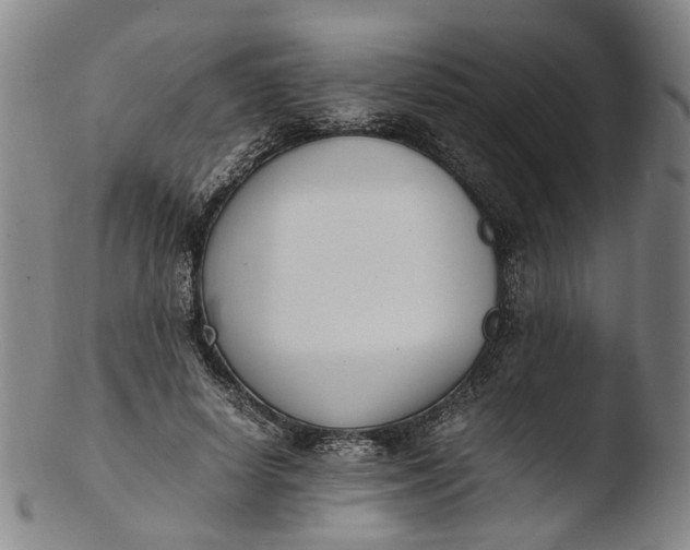 X0000103450642200809261818