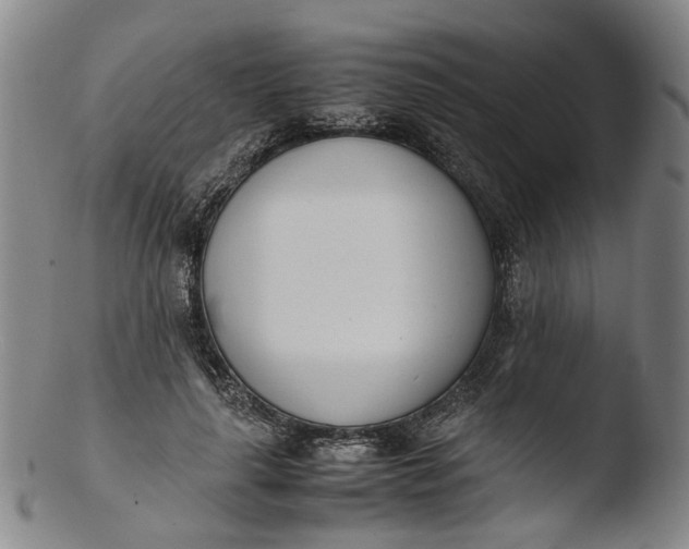 X0000103450643200809261818