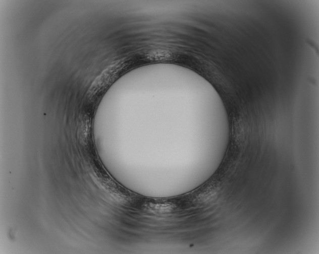 X0000103450645200809261818