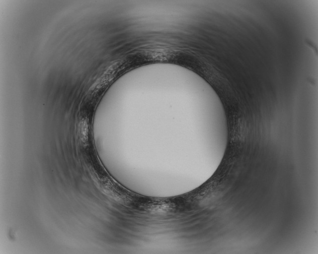 X0000103450646200809261818