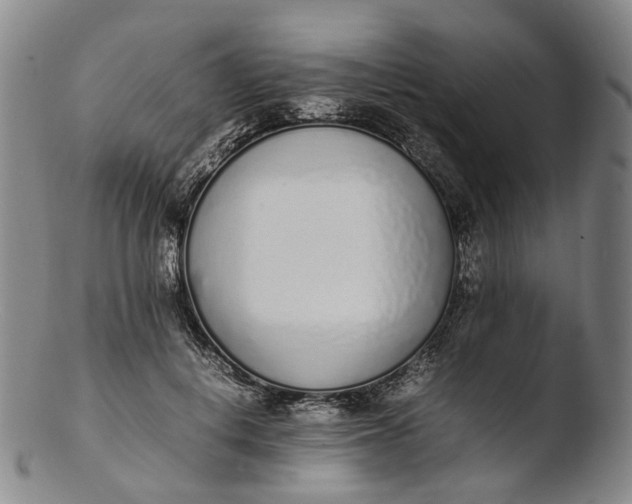 X0000103450648200809261818