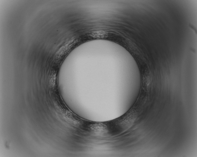 X0000103450652200809261818