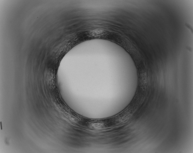 X0000103450653200809261818