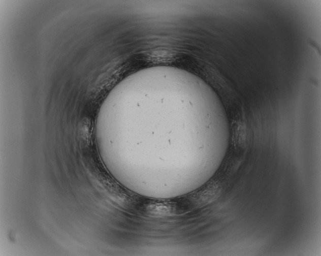 X0000103450655200809261818