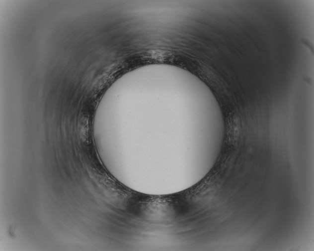 X0000103450656200809261818