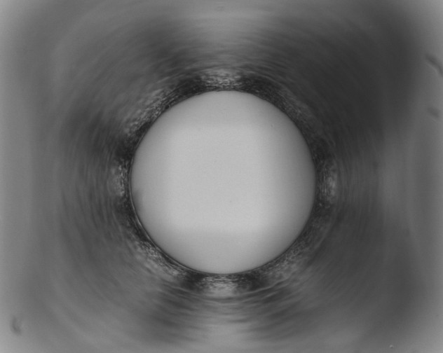 X0000103450658200809261818