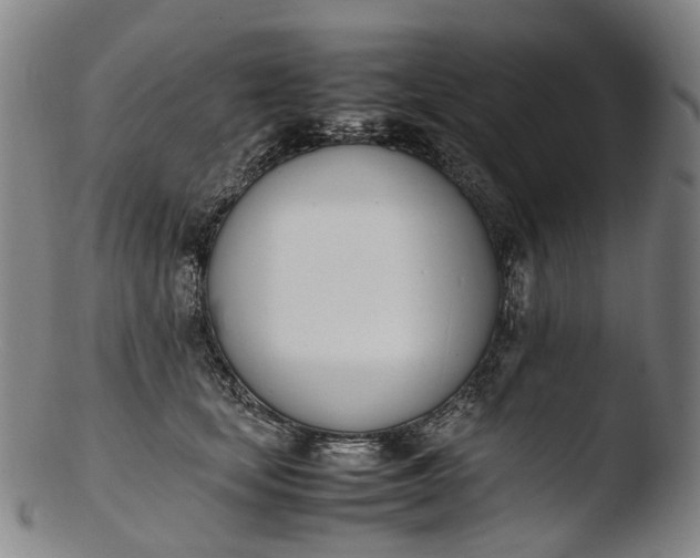 X0000103450659200809261818