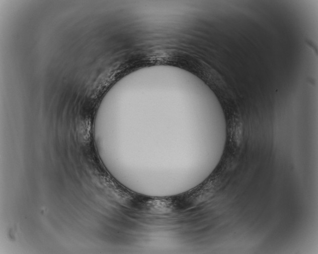 X0000103450660200809261818