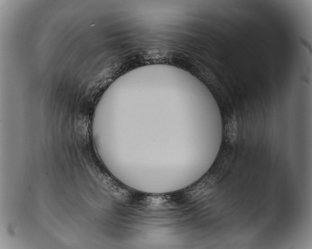 X0000103450662200809261818