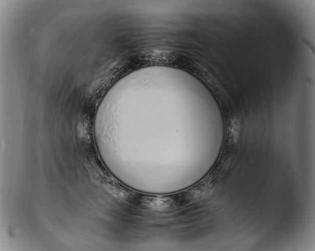 X0000103450663200809261818