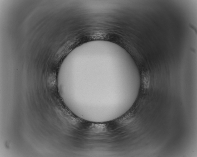 X0000103450665200809261818