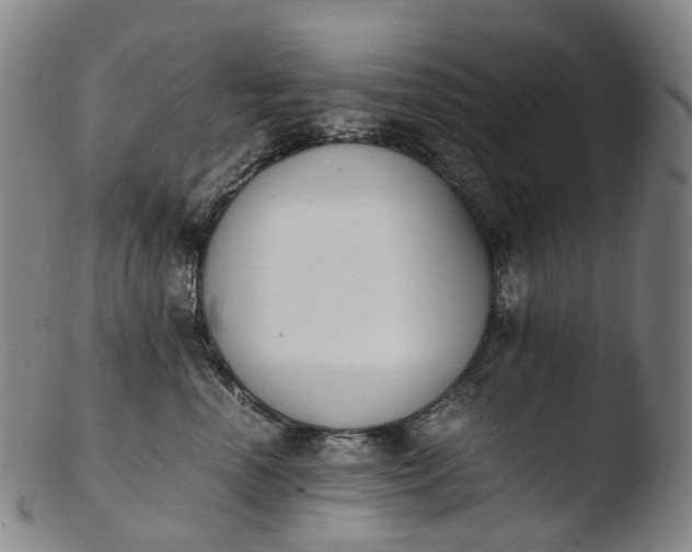 X0000103450666200809261818