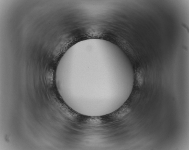 X0000103450668200809261818