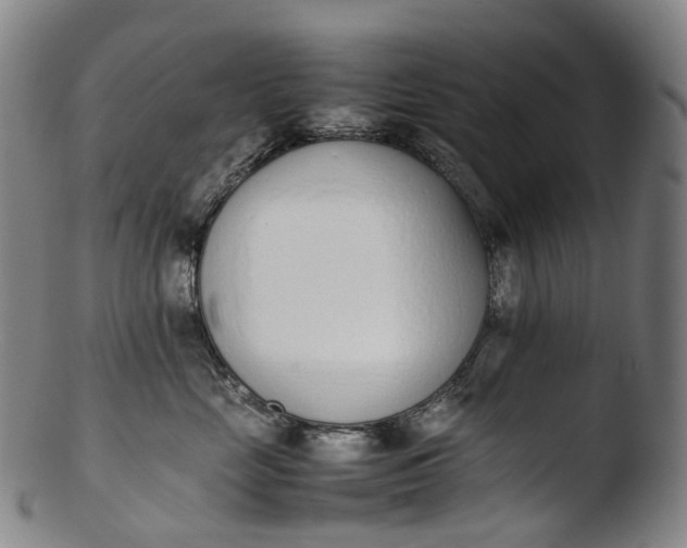 X0000103450669200809261818