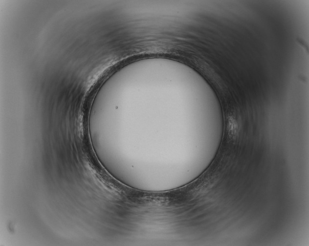 X0000103450676200809261818