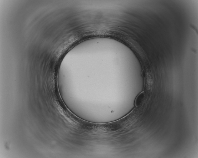 X0000103450677200809261818