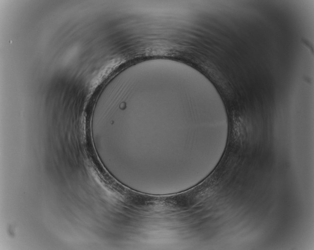 X0000103450678200809261818