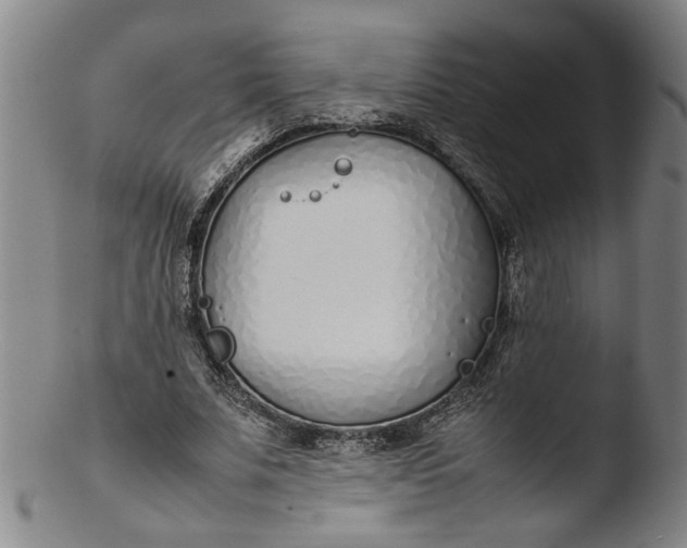 X0000103450679200809261818