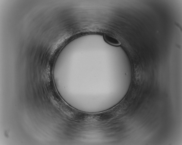 X0000103450680200809261818