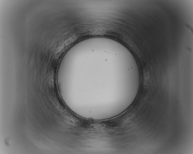 X0000103450681200809261818