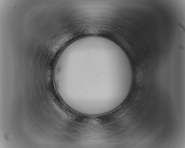 X0000103450683200809261818