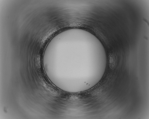 X0000103450684200809261818