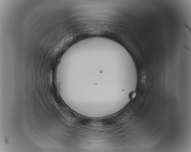 X0000103450685200809261818