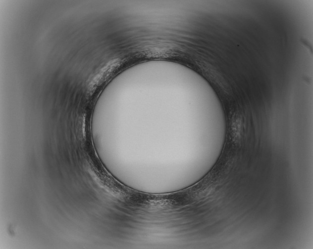 X0000103450686200809261818