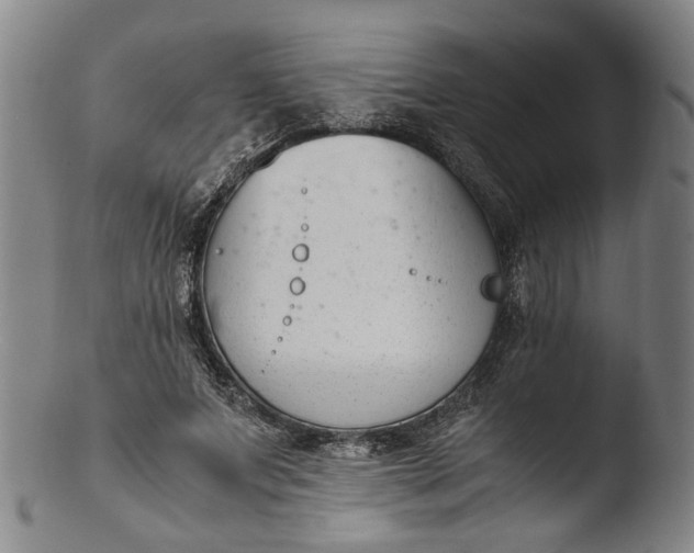 X0000103450687200809261818