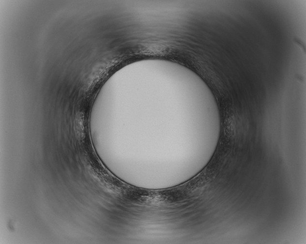 X0000103450688200809261818