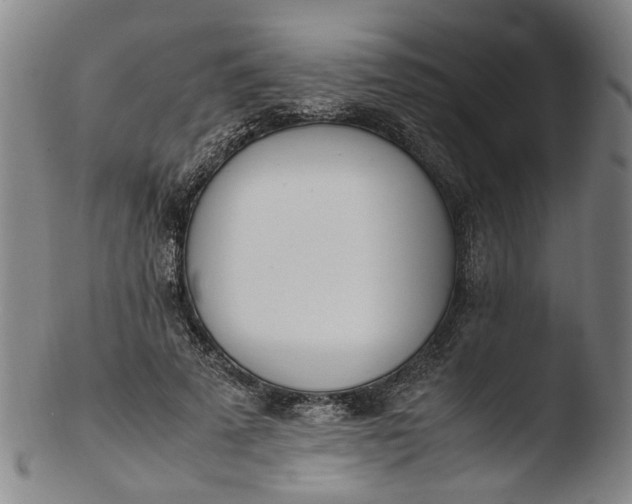 X0000103450689200809261818