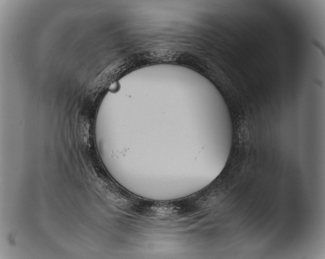 X0000103450693200809261817