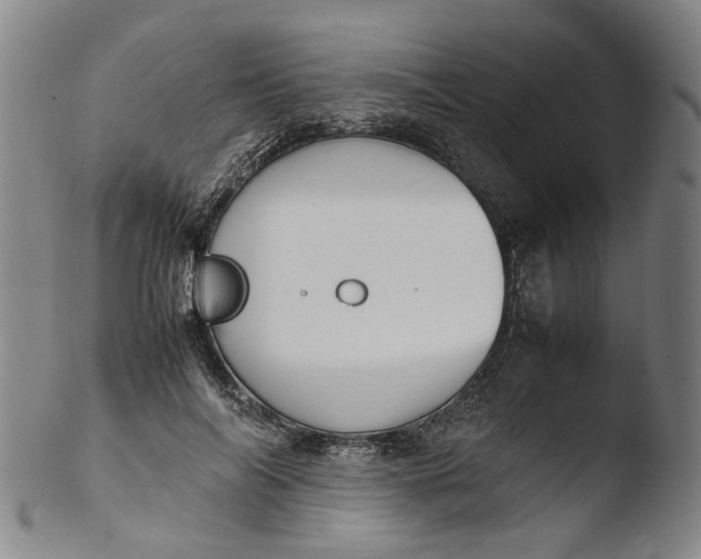 X0000103450694200809261817