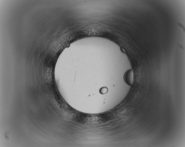 X0000103450695200809261817