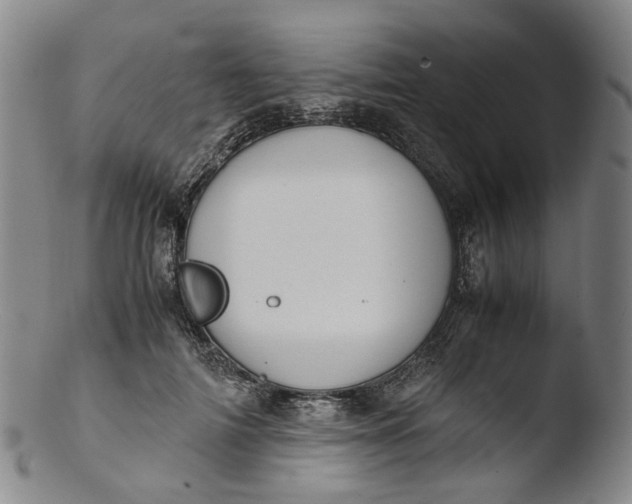 X0000103450698200809261817