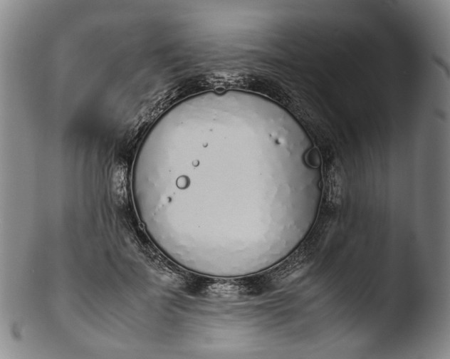 X0000103450699200809261817